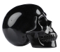 Preview: Skull Black Obsidian